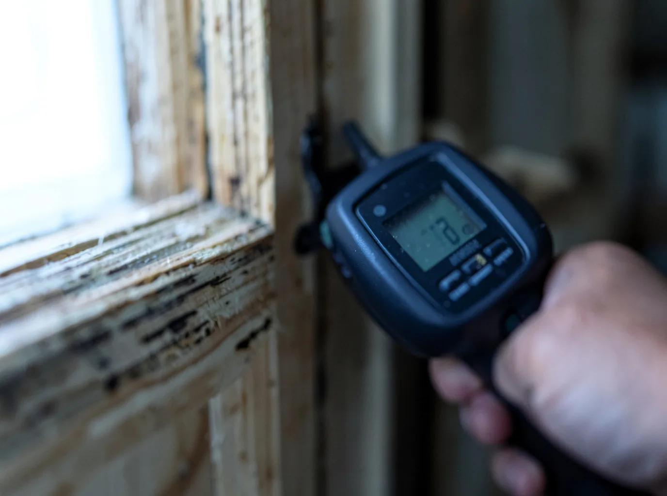 Moisture Inspection And Documentation in Weskan, KS
